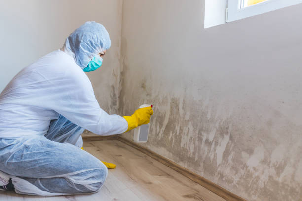 Licensed Mold Testing service in Leesburg, VA - WQB Mold Removal
