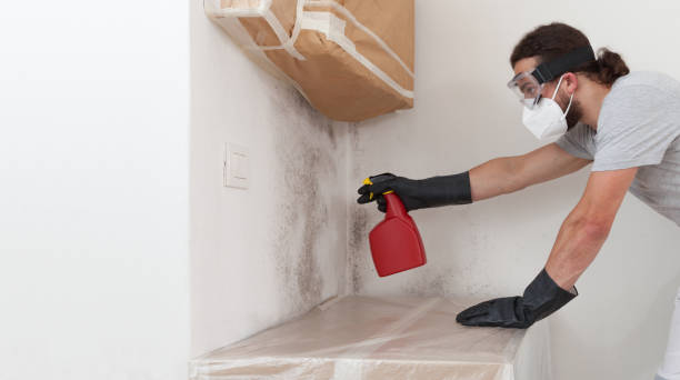 Professional Mold Testing technician working in Leesburg, VA