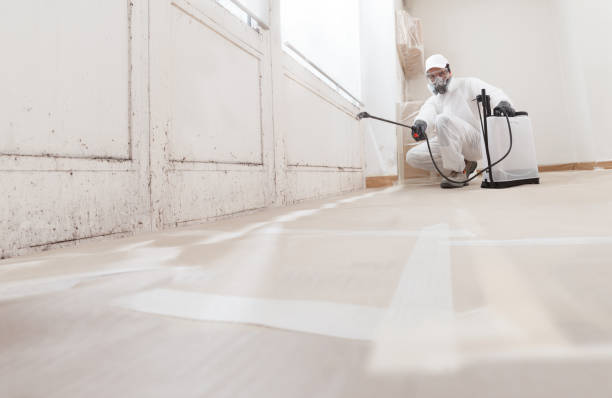 24/7 Emergency Mold Testing experts in Leesburg, VA