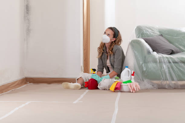 Reliable Mold Testing contractor in Leesburg, VA by WQB Mold Removal